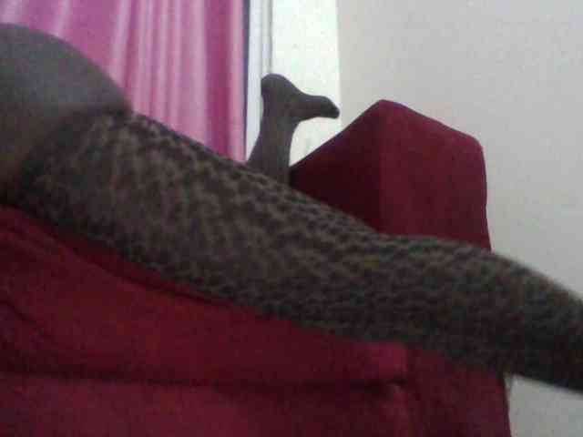 Red_ruby3 webcam