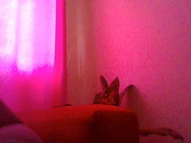 Red_ruby3 webcam