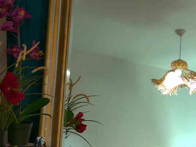 BrunetteBombix webcam