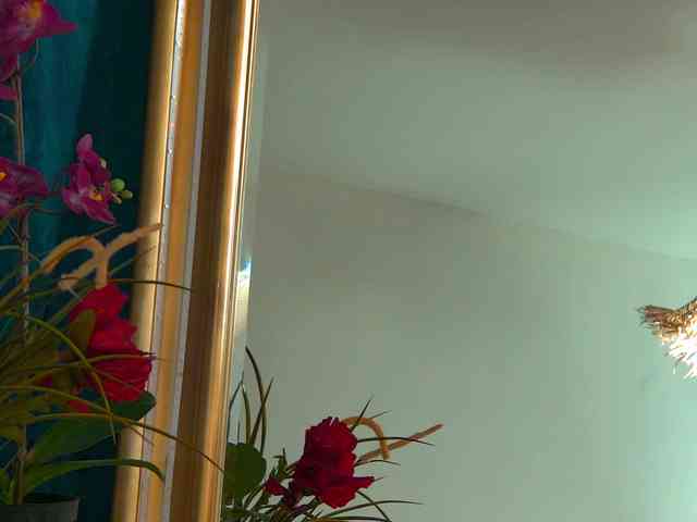 Modella: BrunetteBombix