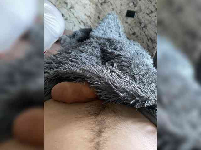 holliwood742 holliwood742