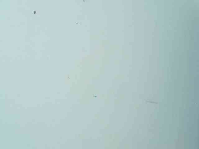 Greicylovehot1992 webcam