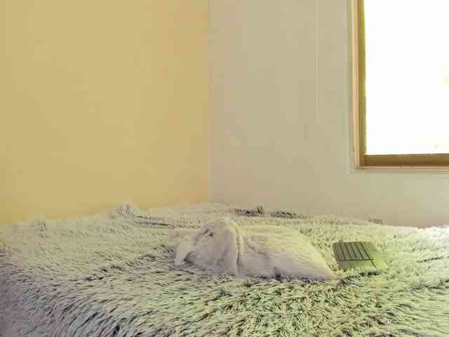 NadiaKarim webcam