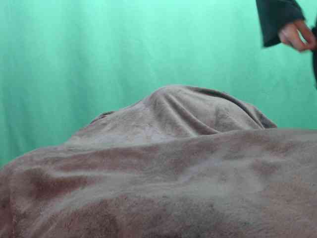 maxifuzz