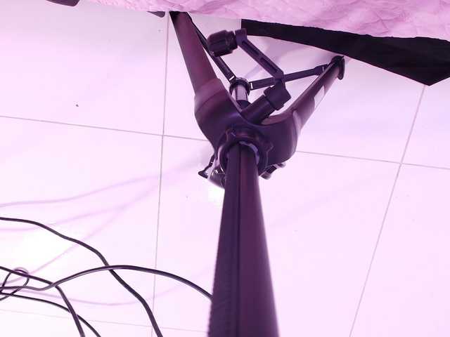 katsumi-yan live cam on BongaCams