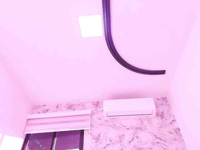 katsumi-yan webcam