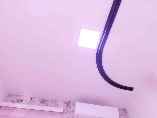katsumi-yan webcam