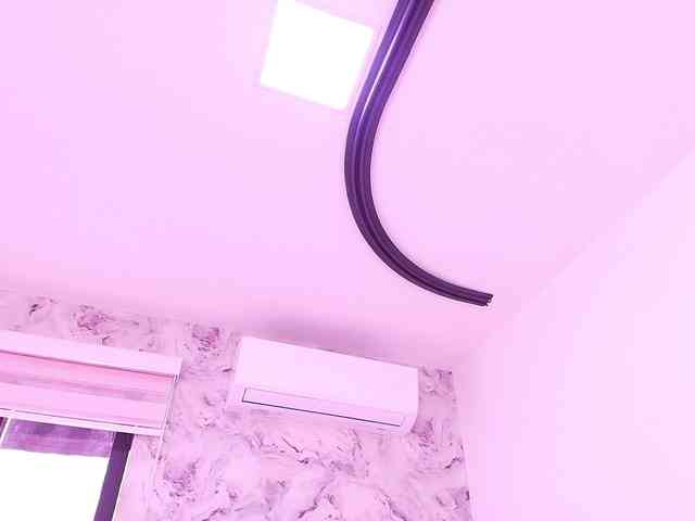 katsumi-yan webcam