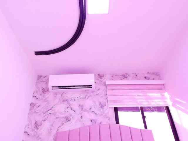 katsumi-yan webcam