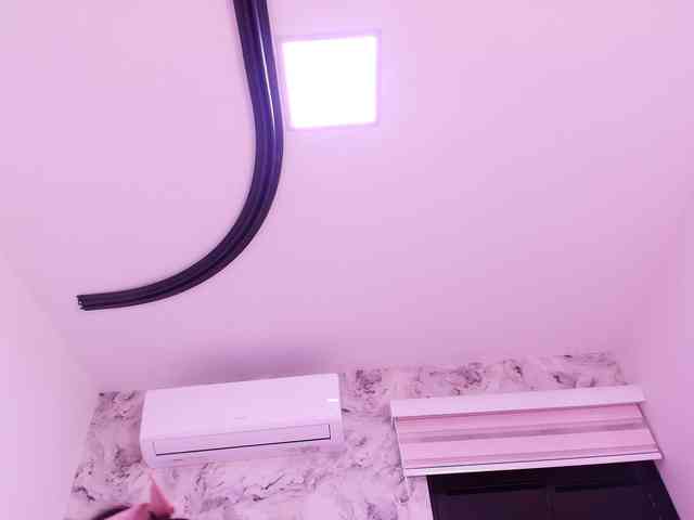 katsumi-yan webcam