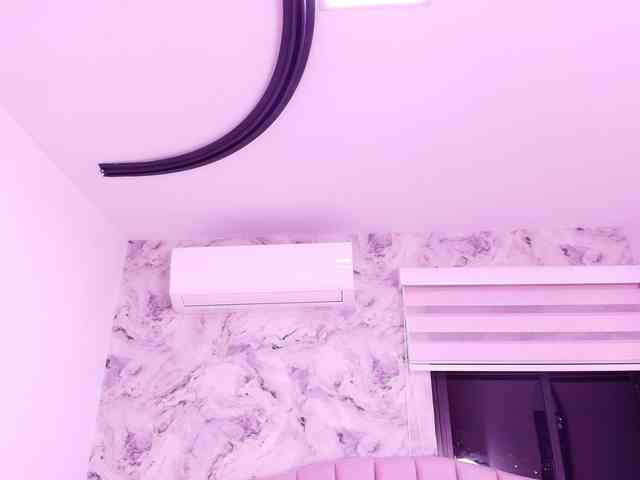 katsumi-yan webcam