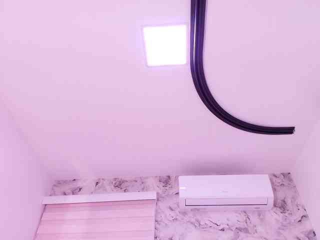 katsumi-yan webcam