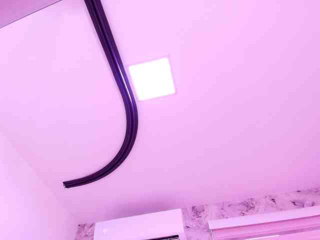 katsumi-yan webcam