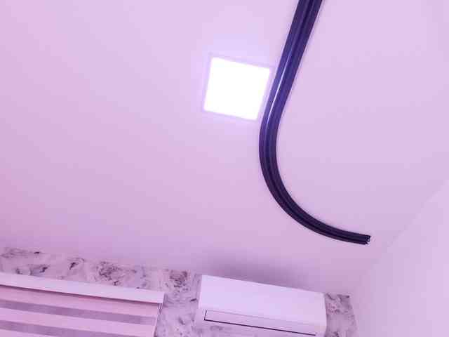 katsumi-yan webcam