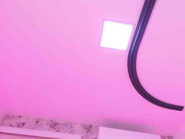 katsumi-yan webcam