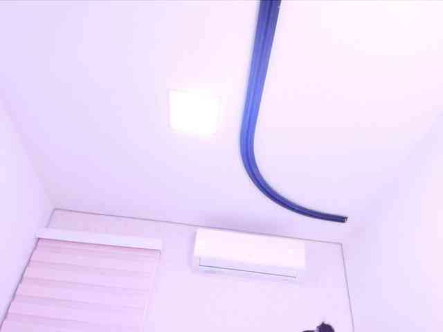 katsumi-yan webcam