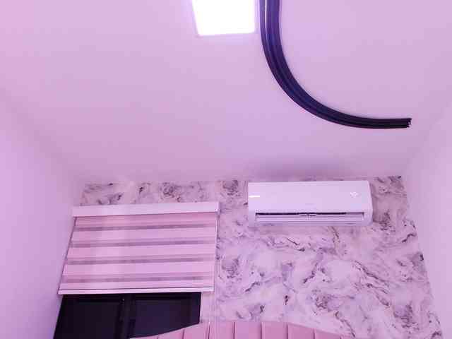 katsumi-yan webcam