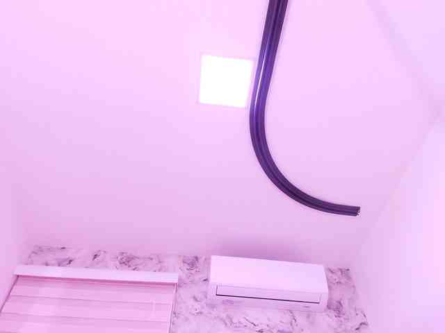 katsumi-yan webcam