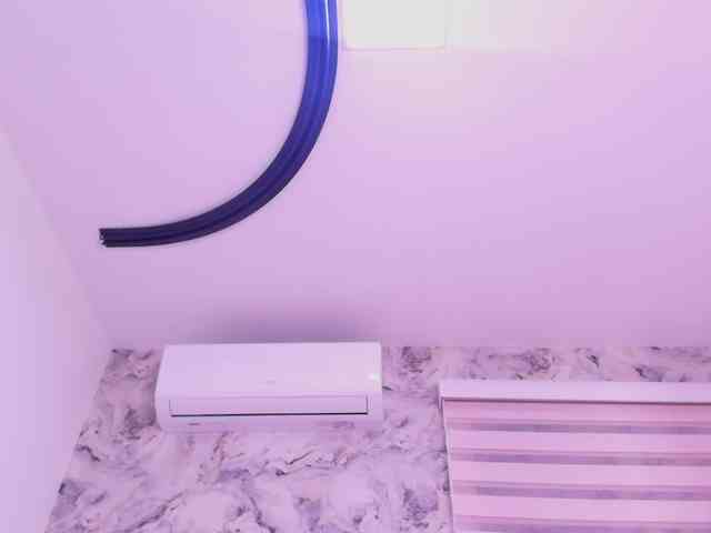 katsumi-yan webcam