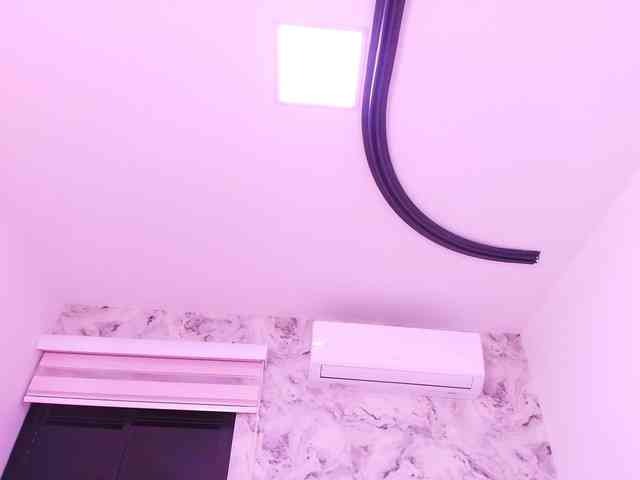 katsumi-yan webcam