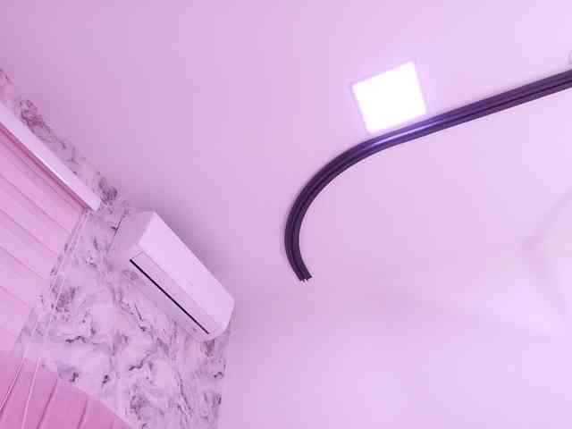 katsumi-yan webcam