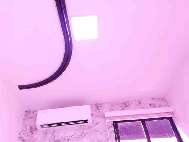 katsumi-yan webcam
