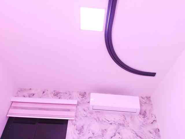 katsumi-yan webcam