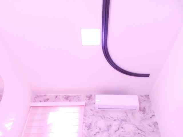 katsumi-yan webcam