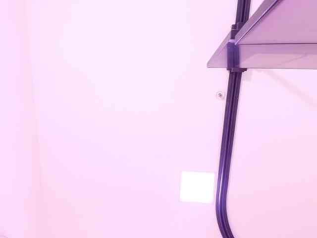 katsumi-yan webcam