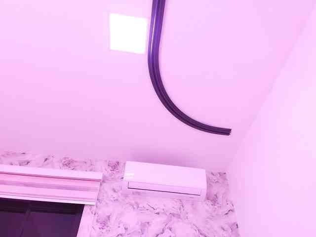 katsumi-yan webcam