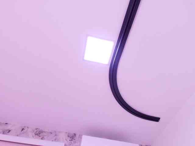 katsumi-yan webcam