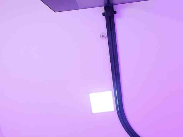 katsumi-yan webcam
