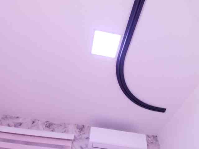 katsumi-yan webcam