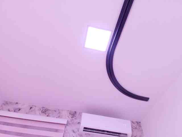 katsumi-yan webcam