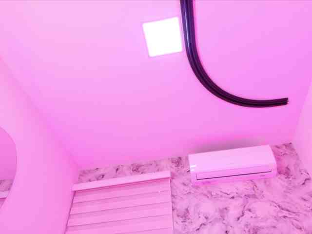 katsumi-yan webcam