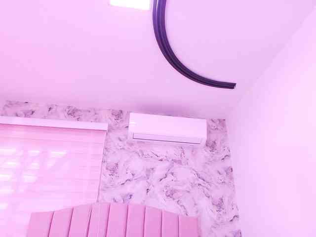 katsumi-yan webcam