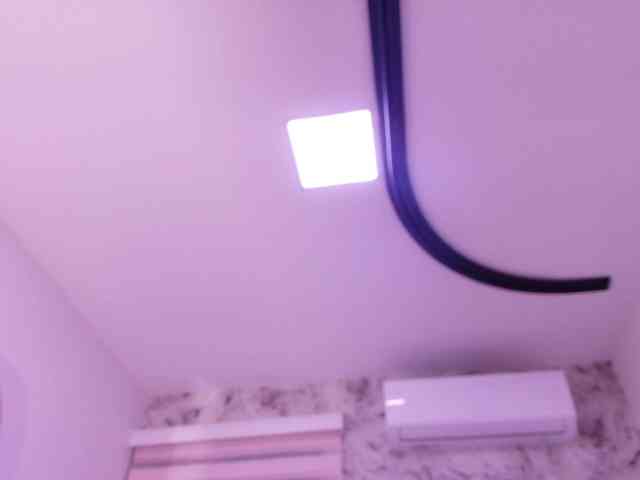 katsumi-yan webcam