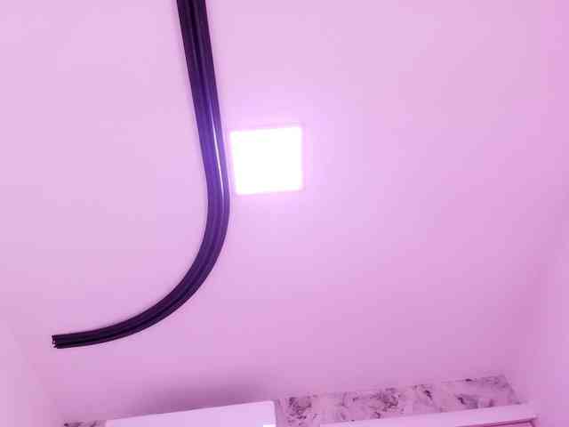 katsumi-yan webcam