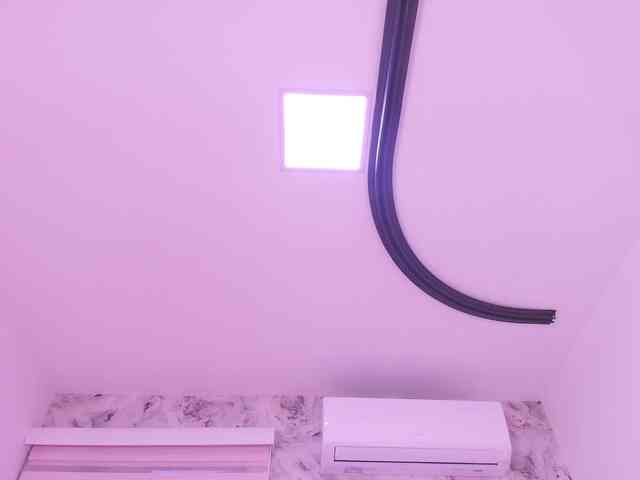 katsumi-yan webcam