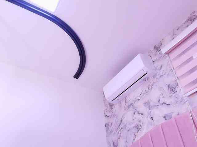 katsumi-yan webcam