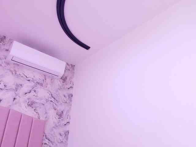katsumi-yan webcam