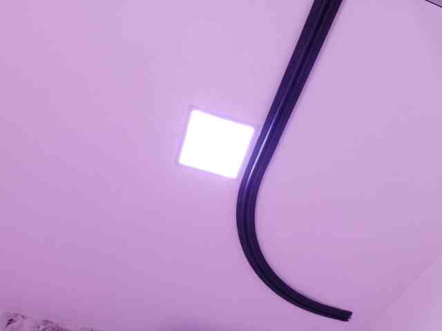 katsumi-yan webcam