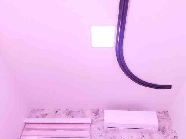 katsumi-yan webcam