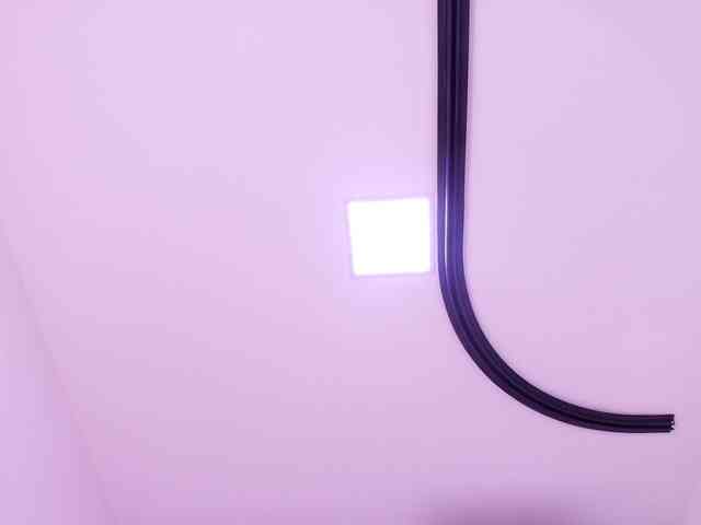 katsumi-yan webcam