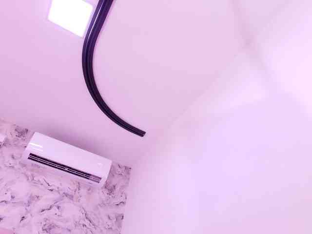 katsumi-yan webcam