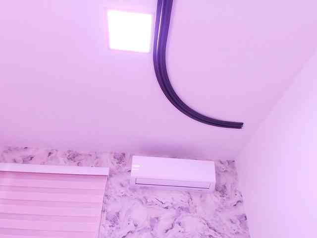 katsumi-yan webcam