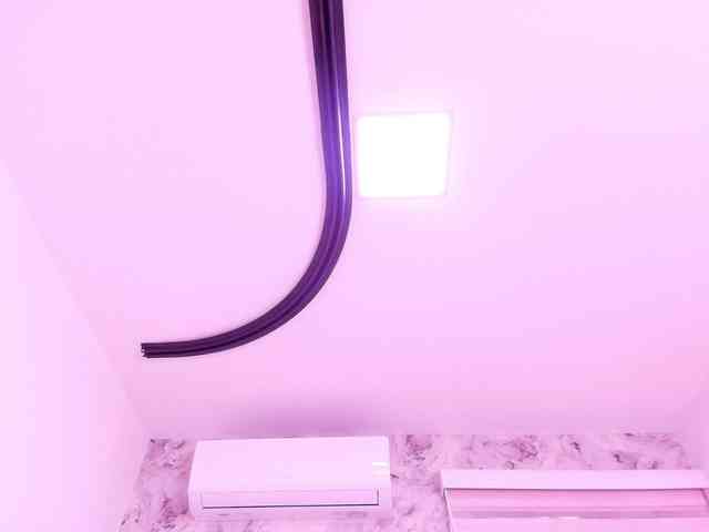 katsumi-yan webcam
