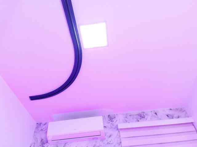 katsumi-yan webcam