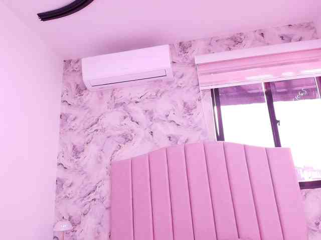 katsumi-yan webcam