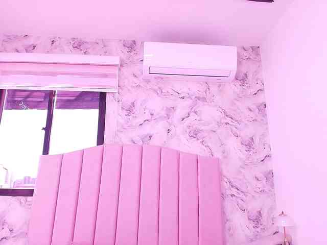 katsumi-yan webcam
